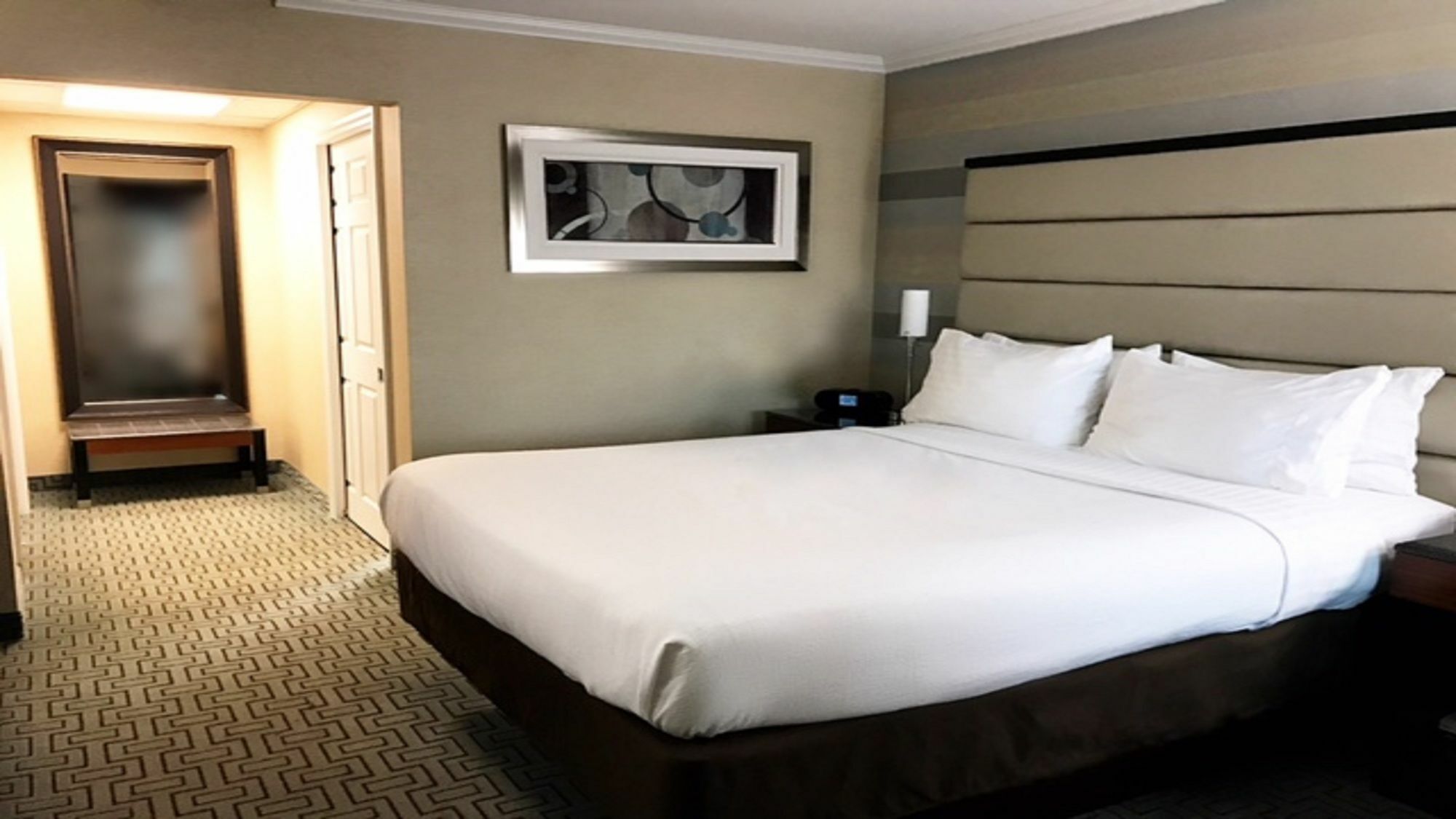 Holiday Inn Plainview-Long Island By Ihg Extérieur photo